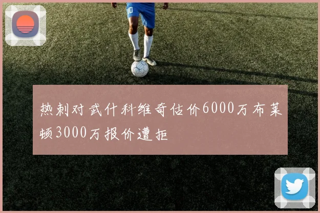 热刺对武什科维奇估价6000万布莱顿3000万报价遭拒