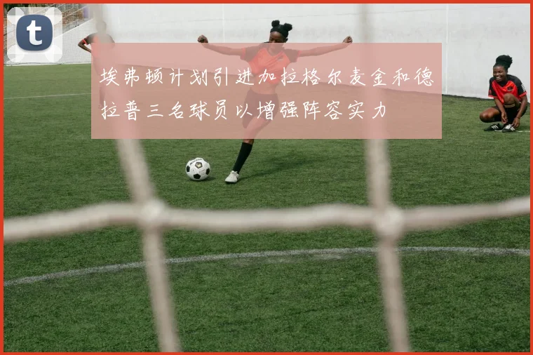 埃弗顿计划引进加拉格尔麦金和德拉普三名球员以增强阵容实力